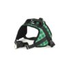 Harnais Animalin® ECOSSAIS – Image 3