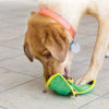Kong Ballistic 'Hide'N Treat' – Image 3