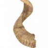 Corne de Mouton – Image 3
