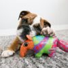 Kong 'Shielfz Hippo' – Image 3